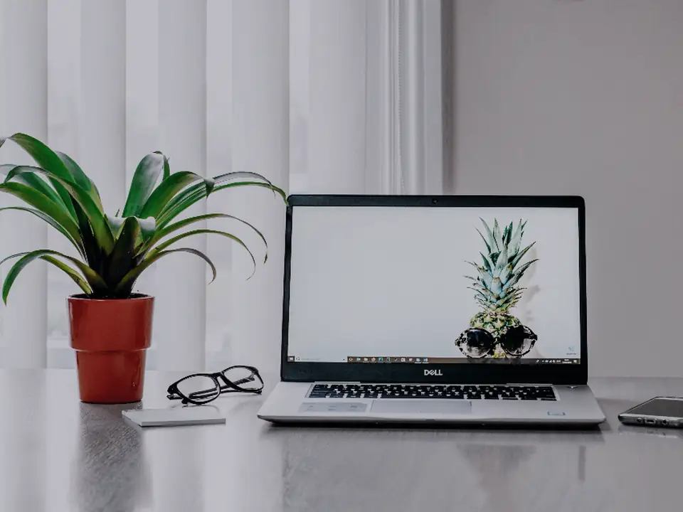 Laptop and plants on a bright desk